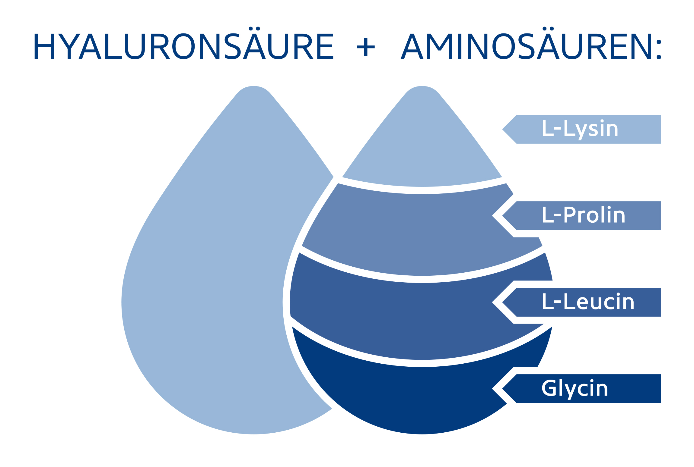 211106_Burg_Pharma_Flyer_Mucosamin_Pf.indd